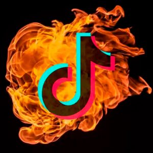 Lo más viral de Tik Tok